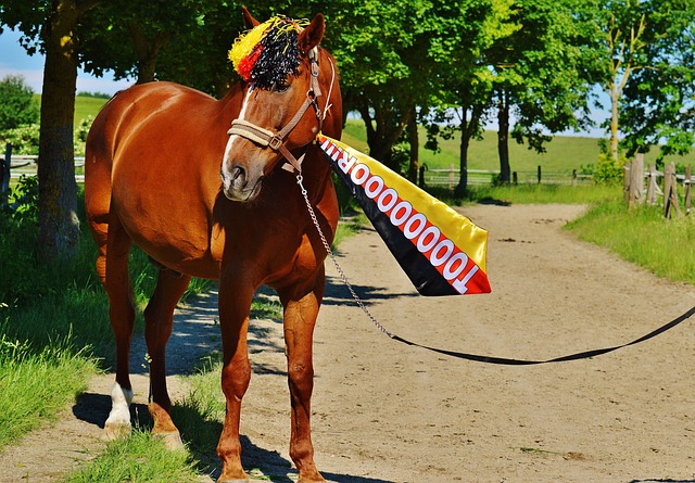 [田径]世界室内田径锦标赛 第3比赛日 2.