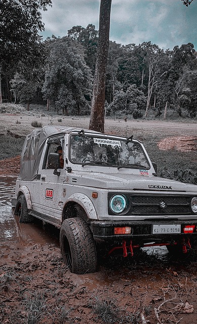 毛球的实力 毛球的实力