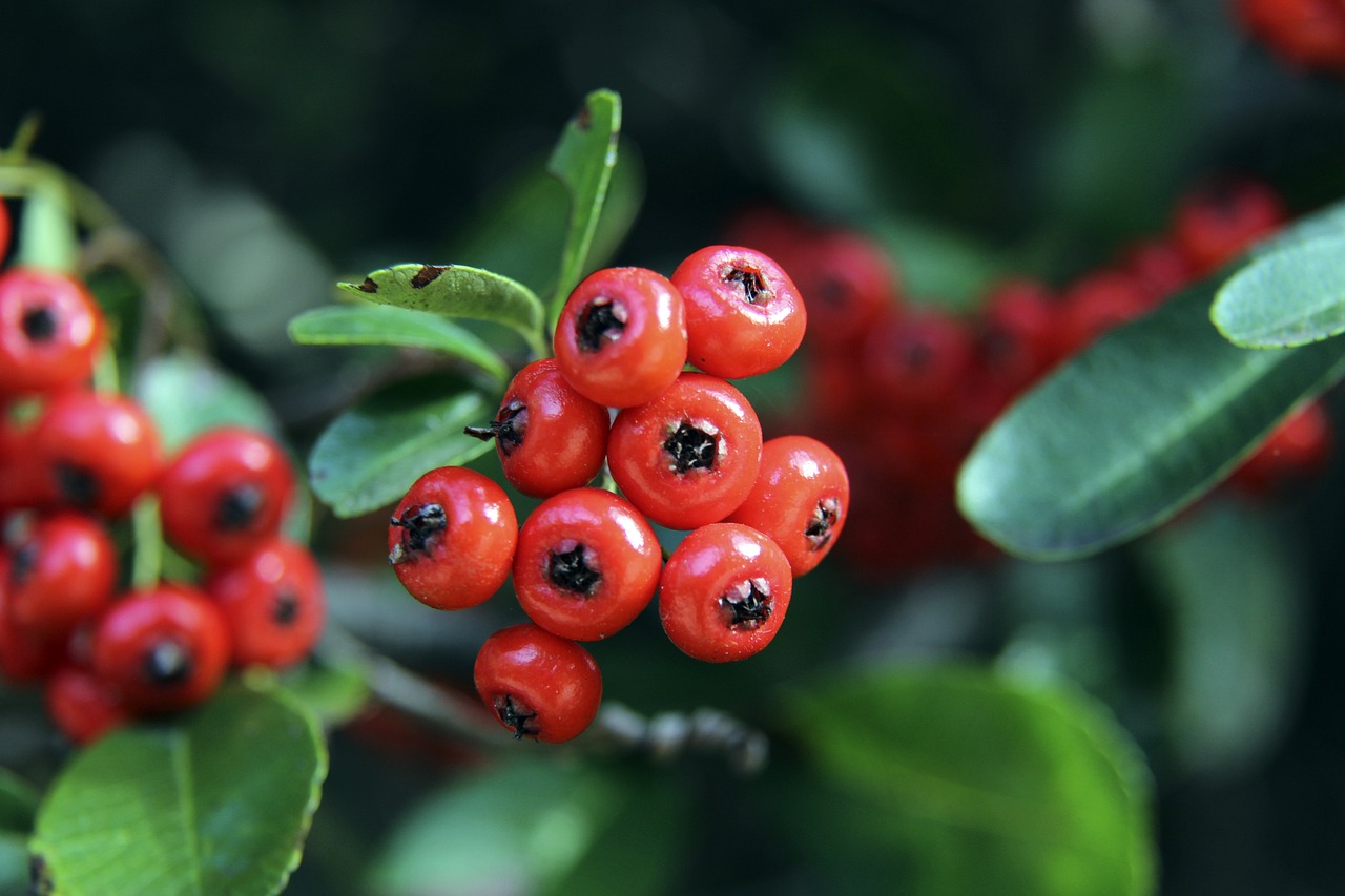 中为球员设 中为球员设